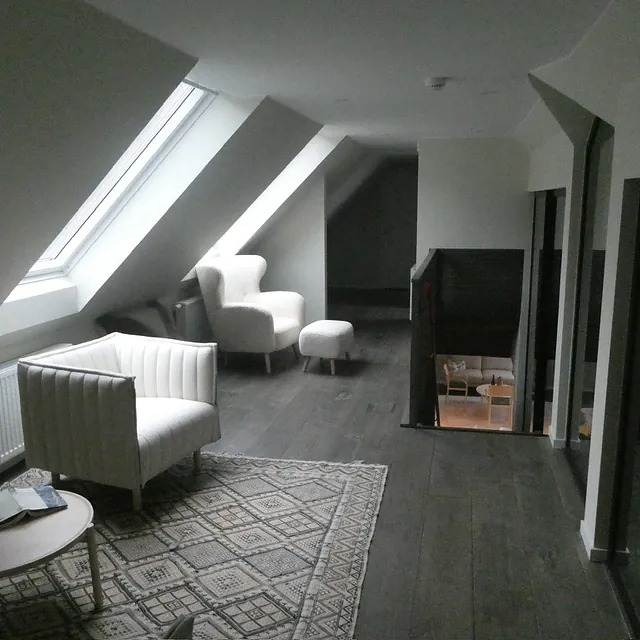 Moderne stue med skråtak og store glassfelt 