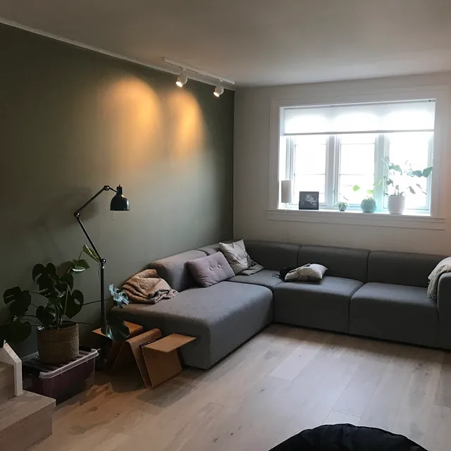 Ny oppgradert moderne stue